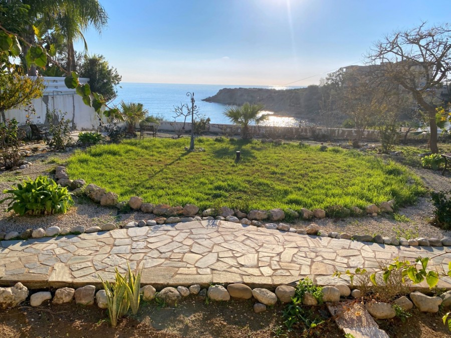3 Bedrooms House / Villa in Peyia, Paphos