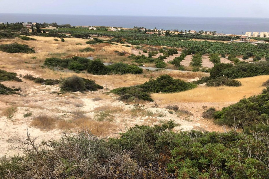 Land in Peyia, Paphos