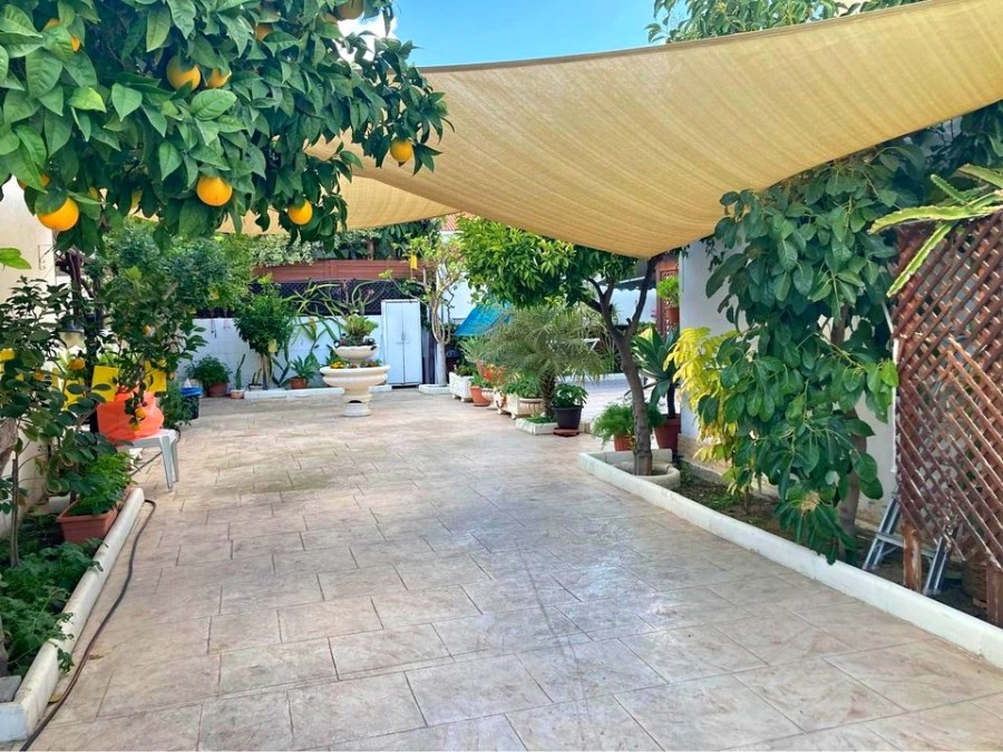 4 Bedrooms House / Villa in Livadia, Larnaca