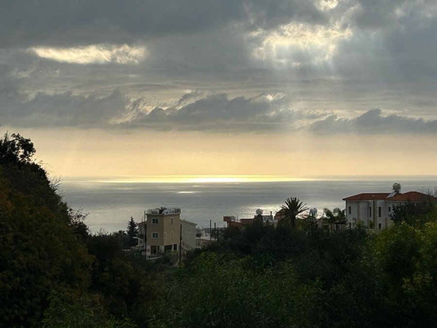 Land in Peyia, Paphos