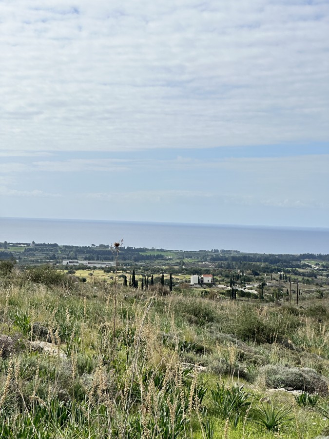 Land in Agia Marinouda, Paphos