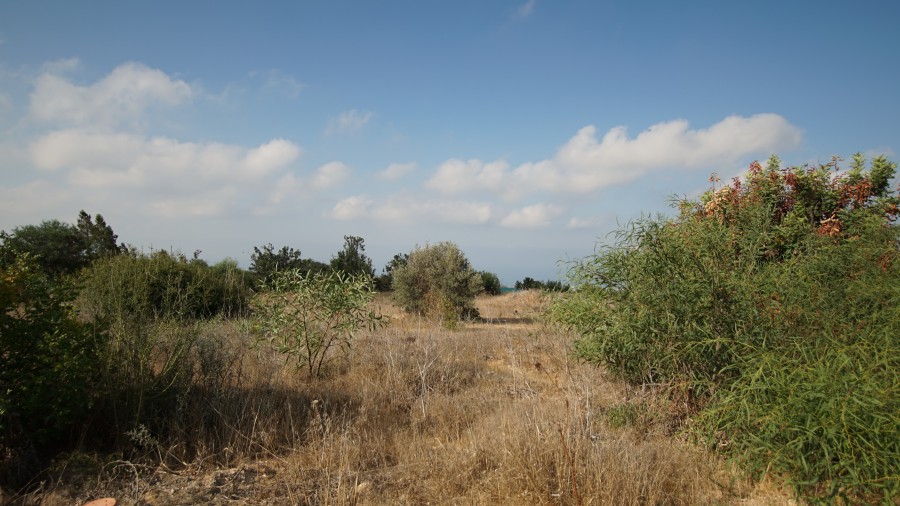 Land in Tala, Paphos