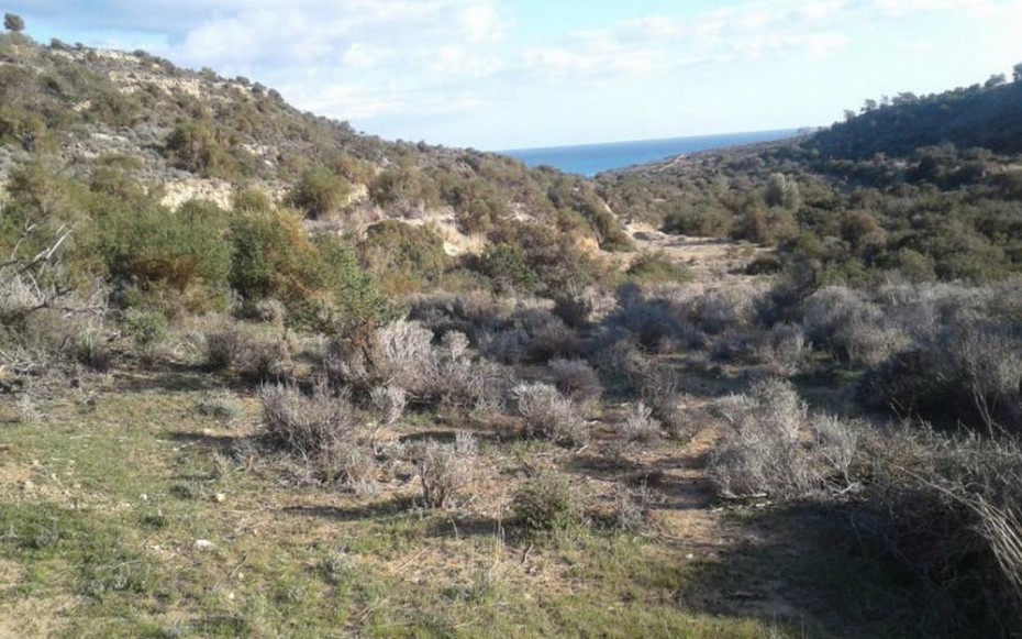 Land in Pissouri, Limassol