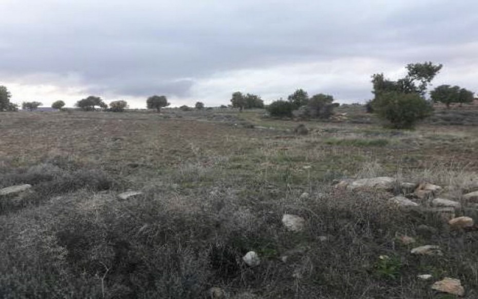 Land in Pachna, Limassol