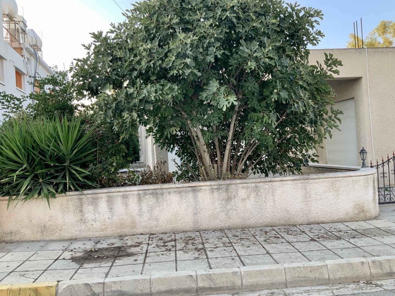 3 Bedrooms House / Villa in Strovolos, Nicosia
