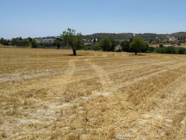 Land in Alethriko, Larnaca