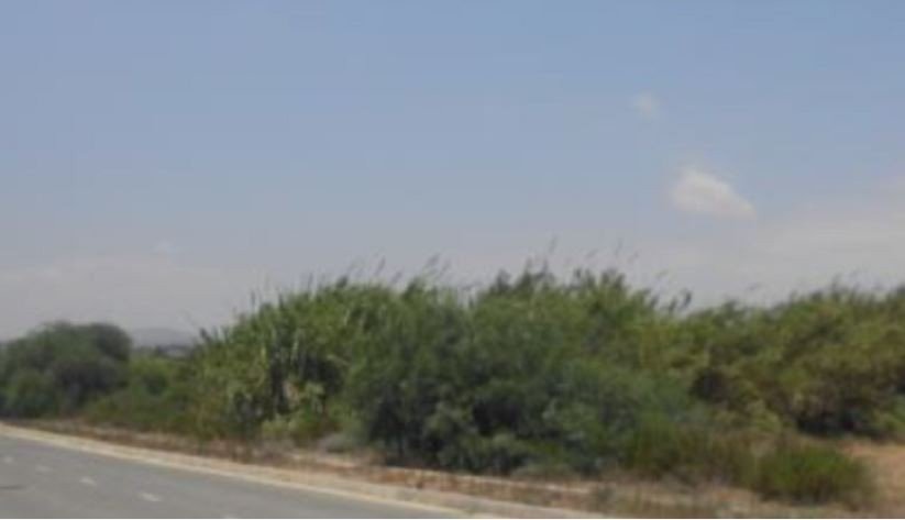 Land in Mazotos, Larnaca