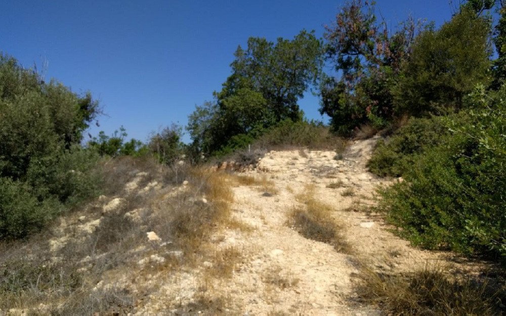 Land in Tala, Paphos