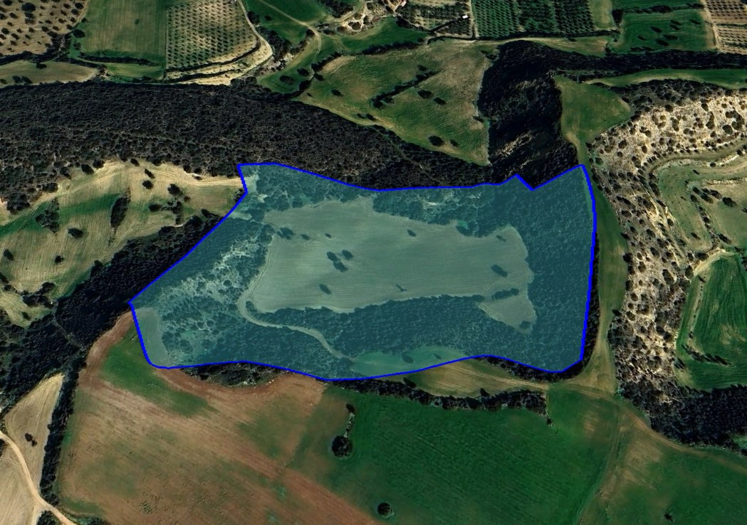 Land in Agios Theodoros, Larnaca