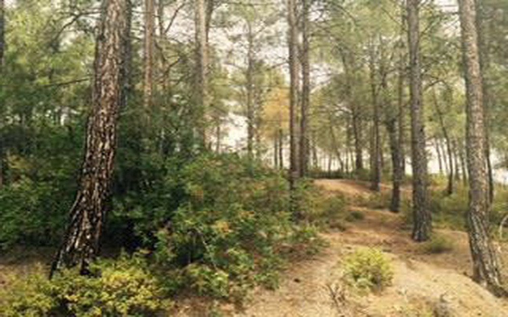Land in Moniatis, Limassol